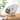 Space Capsule Cat Bed with Catnip Ball in Track