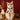 Knitted Christmas scarf Pet Decorations