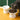 Ceramic Bowl for cat